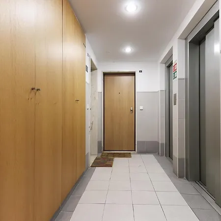 Modern Olaias By Homing