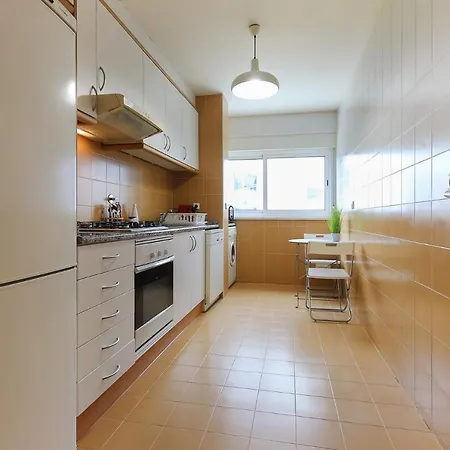 Modern Olaias By Homing